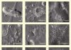 Evidence for basaltic volcanism on the Moon within the past 100 million years