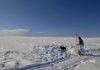 Arctic bacteria show long evolution in toxic mercury resistance