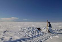 Arctic bacteria show long evolution in toxic mercury resistance