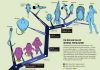 Fossils rewrite history of penetrative sex