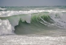 Earthquakes in the ocean: Towards a better understanding of their precursors