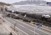 Underwater landslide doubled size of 2011 Japanese tsunami