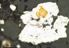 Ancient Rocks Reveal Hot Spot of Sulfur-Breathing Bacteria