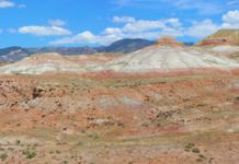 Jurassic climate of large swath of western U.S. was more complex than previously known