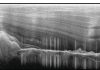 ‘Fountain of youth’ underlies Antarctic mountains