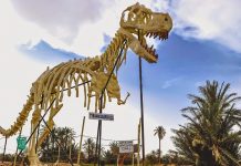 Fossil treasures at risk in Morocco desert town