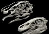 Digital dinosaurs: New research employs high-end technology to restore dinosaur fossil