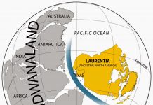 Massive geographic change may have triggered explosion of animal life