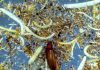 The unbelievable underworld and its impact on us all