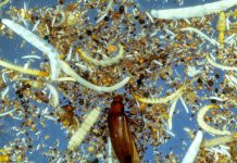 The unbelievable underworld and its impact on us all