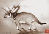 New species of dinosaur discovered lying forgotten in a museum