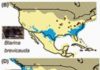 Fossils cast doubt on climate-change projections on habitats