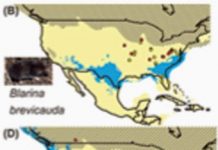 Fossils cast doubt on climate-change projections on habitats