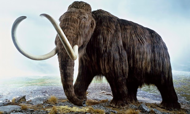 Woolly mammoths and Neanderthals may have shared genetic traits ...