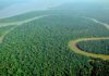 Sediment supply drives floodplain evolution in Amazon Basin