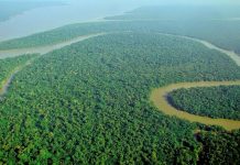 Sediment supply drives floodplain evolution in Amazon Basin