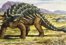 A/C came standard on armored dinosaur models
