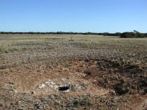 "When the pilot spotted a blowhole, he marked the position with a GPS for the ground team to physically verify and accurately locate," Dr Burnett says.Image: spelio