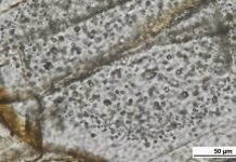 First Swedish hard-rock diamonds discovered