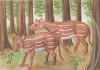 Fossils suggest ancestor of horses and rhinos