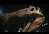Meet Spinosaurus, the first-known water dinosaur