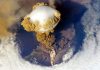 Small volcanic eruptions could be slowing global warming