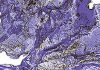 The science of sustainable drainage