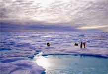 The emergence of modern sea ice in the Arctic Ocean, 2.6 million years ago