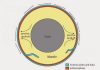 Geophysicists challenge traditional theory underlying the origin of mid-plate volcanoes
