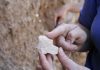 Oldest stone tool ever found in Turkey discovered