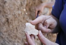 Oldest stone tool ever found in Turkey discovered