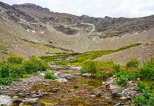 Rare insect found only in glacier national park imperiled by melting glaciers