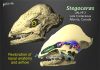Dinosaur breathing study shows that noses enhanced smelling and cooled brain