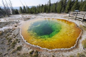 Yellowstone National Park