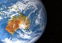 Oil-dwelling bacteria are social creatures in Earth’s deep biosphere