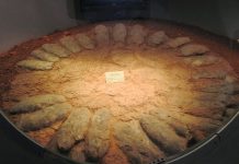Heavy dinosaurs found a way to brood their eggs