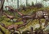 New meat-eating dinosaur lived in the wake of a mass extinction