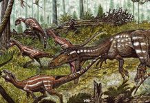 New meat-eating dinosaur lived in the wake of a mass extinction