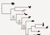 Ancient ‘genomic parasites’ spurred evolution of pregnancy in mammals