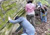 Rare Mineral found in a Wisconsin Crater