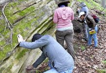 Rare Mineral found in a Wisconsin Crater