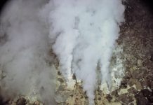 How Earth’s earliest life overcame a genetic paradox