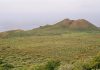 Fossils survive volcanic eruption to tell us about the origin of the Canary Islands