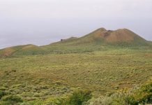 Fossils survive volcanic eruption to tell us about the origin of the Canary Islands