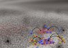 How ionic: Scaffolding is in charge of calcium carbonate crystals