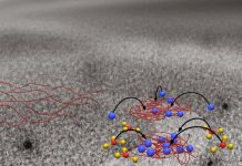 How ionic: Scaffolding is in charge of calcium carbonate crystals