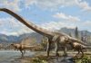 Long-necked ‘dragon’ discovered in China