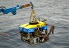New sulfate-breathing species discovered beneath ocean crust