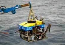 New sulfate-breathing species discovered beneath ocean crust