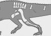 Paleontologist names a carnivorous reptile that preceded dinosaurs